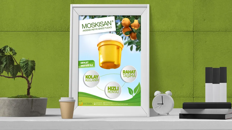 Moskisan — Açılış Çalışması