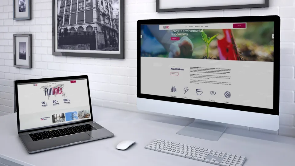 Fullimex — İnternet Sitesi Tasarımı